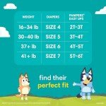 Bluey Potty Training Pants for Kids - Size 3T-4T