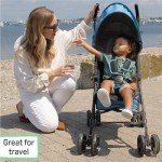 Summer Infant 3Dmini Lightweight Travel Stroller - Blue/Black