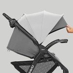 Chicco Bravo LE Travel System with Car Seat