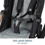 Maxi-Cosi Tayla™ Max Travel System - Onyx