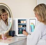 Portable 10L Mini Fridge for Food & Drinks