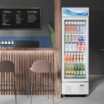 12 Cu.ft. Glass Door Commercial Display Fridge