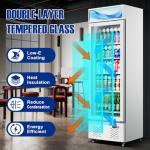 12 Cu.ft. Glass Door Commercial Display Fridge