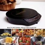 Nuwave Portable Induction Cooktop with Ceramic Surface