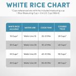 60-Cup Aroma Commercial Rice Cooker - Stainless Steel