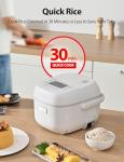 Toshiba 3-Cup Mini Rice Cooker & Steamer