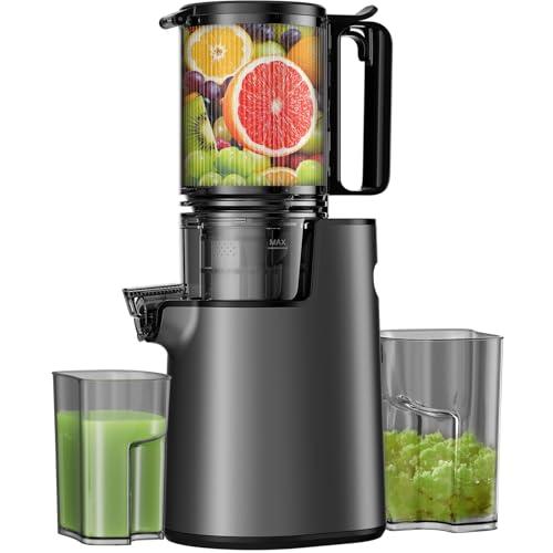 LQZ Cold Press Juicer Image