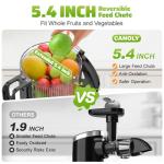 Slow Masticating Juicer with Wide Feed Chute