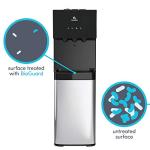 Avalon Bottom Loading Water Cooler & Dispenser