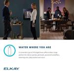 Elkay ezH2O Built-in Filtered Water Dispenser