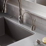 InSinkErator Satin Nickel Instant Hot/Cold Faucet