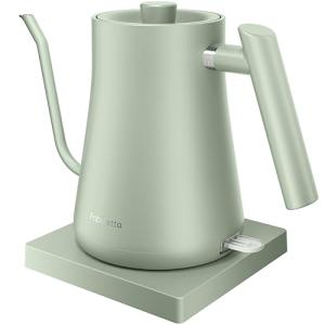 Fabuletta 1500W Stainless Steel Gooseneck Kettle