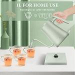 Fabuletta 1500W Stainless Steel Gooseneck Kettle