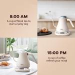 Mecity Electric Gooseneck Kettle with Temperature Control