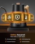 Fabuletta Electric Gooseneck Kettle for Coffee & Tea