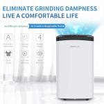 AIRPLUS 1,500 Sq. Ft Dehumidifier for Home
