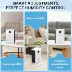 95 oz Dehumidifier for Home and Bedroom