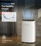 35-Pint Compact Dehumidifier for Basements