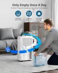 35-Pint Compact Dehumidifier for Basements