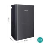 Hisense 50-Pint Portable Dehumidifier with Pump