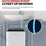 Honeywell 50-Pint ENERGY STAR Dehumidifier with Pump