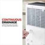 Honeywell 50-Pint ENERGY STAR Dehumidifier with Pump