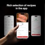Typhur Sync One Smart Wireless Meat Thermometer