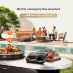 Inkbird WiFi & Bluetooth Meat Thermometer with Probes