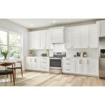 Broan-NuTone 21-Inch Stainless Steel Range Hood Insert