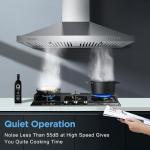 Zomagas 30" Stainless Steel Wall Mount Range Hood