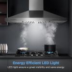 Zomagas 30" Stainless Steel Wall Mount Range Hood