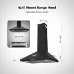 FIREGAS 30" Black Convertible Range Hood with LED