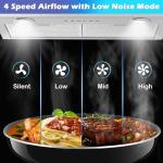 ONEEON 24" Stainless Steel Range Hood Insert