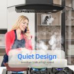 FIREGAS 30” Black Island Range Hood with 700 CFM