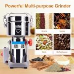 Greatrue 750g Electric Grain Mill & Spice Grinder