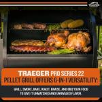 Traeger Pro 22 Wood Pellet Smoker and Grill
