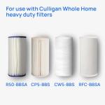 Culligan Whole House Water Filter System 1" Inlet