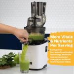 Kuvings REVO830SWP Cold Press Masticating Juicer