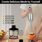 Gavasto 1000W Immersion Blender with Egg Beaters & Chopper