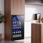 Tehanld Mini Beverage Cooler with Glass Door