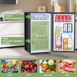 Zibbizo Compact Mini Fridge with Freezer - Black