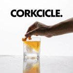 Corkcicle Whiskey Wedge Glass with Silicone Mold