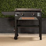 Blackstone 28" Outdoor Propane Griddle Grill