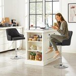 Adjustable Bar Stools Set of 2 for Mancave