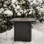 Large 28-Inch Gas One Propane Fire Pit