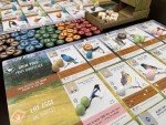 Wingspan: Award-Winning Bird Strategy Game for Adults