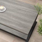 Rustic Grey 2-Tier Coffee Table with Storage