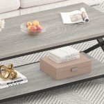 Rustic Grey 2-Tier Coffee Table with Storage