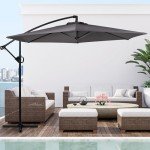 10FT Dark Grey Cantilever Patio Umbrella with Tilt