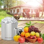 Insulated Stainless Steel Ice Bucket with Tongs